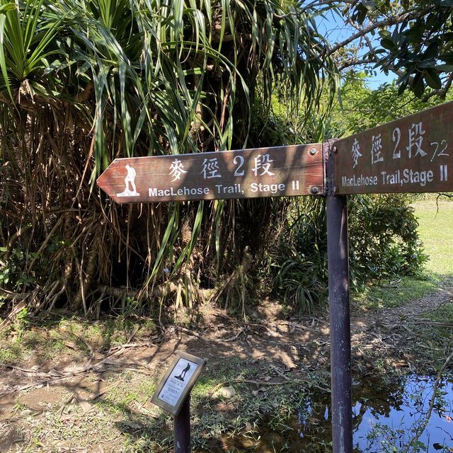 麥理浩徑第二段