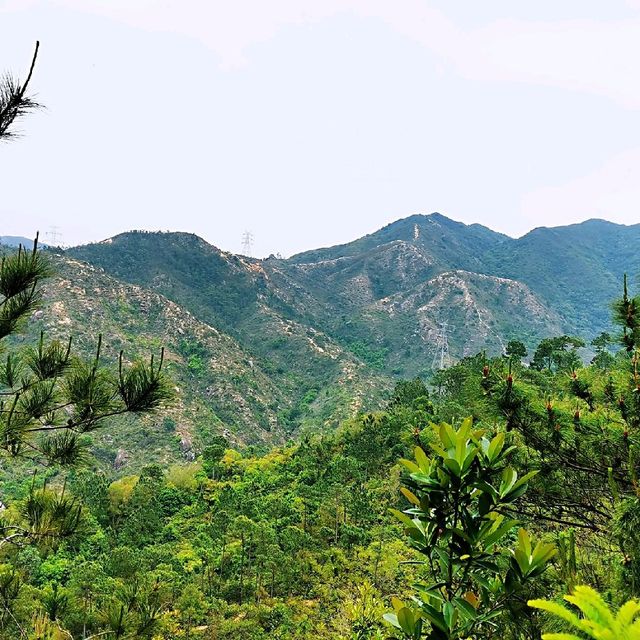 藍地水塘 屯門徑 彩虹欄桿