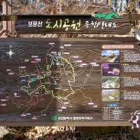 대전 등산 보문산 