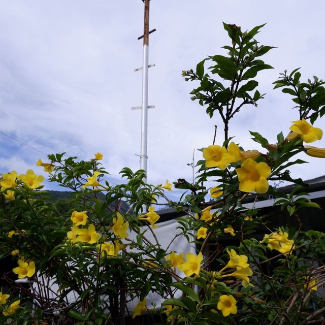 港島區海上長廊