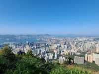 九龍之最~飛鵝山⛰️