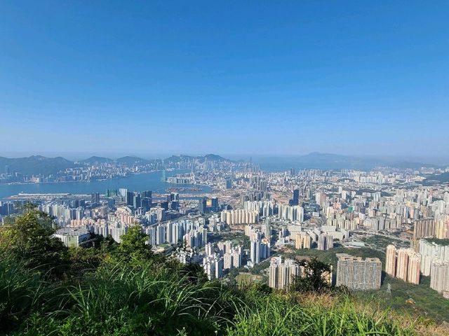 九龍之最~飛鵝山⛰️