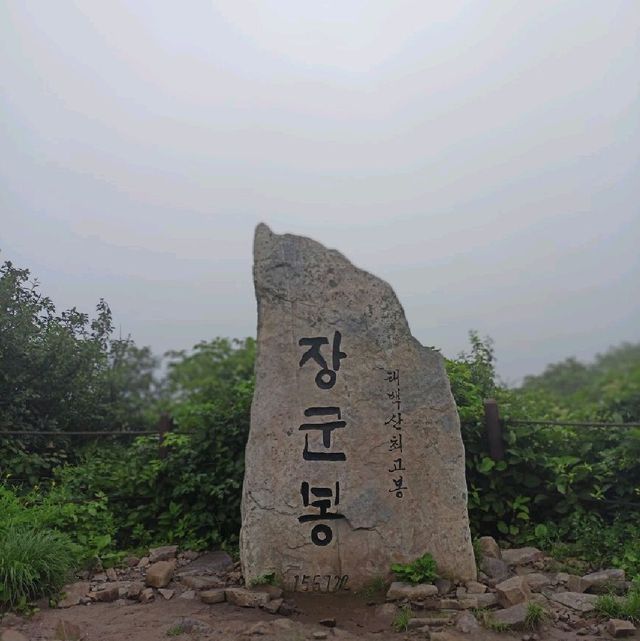 태백산 유일사코스(최단)