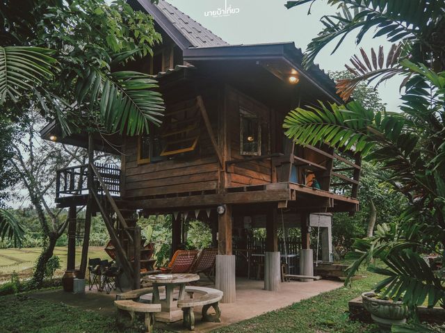 𝐋𝐞 𝐂𝐨𝐫 𝐓𝐞 เชียงดาว จ.เชียงใหม่