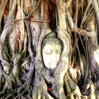 Relive Ayutthaya's Ancient Glory