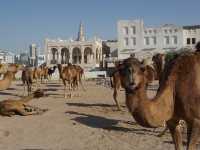 Souq Waqif