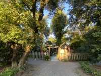【京都】京都御所でゆったりお散歩