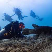 ไปเรียนดำน้ำ OPEN WATER ที่เกาะเต่ากัน🐢