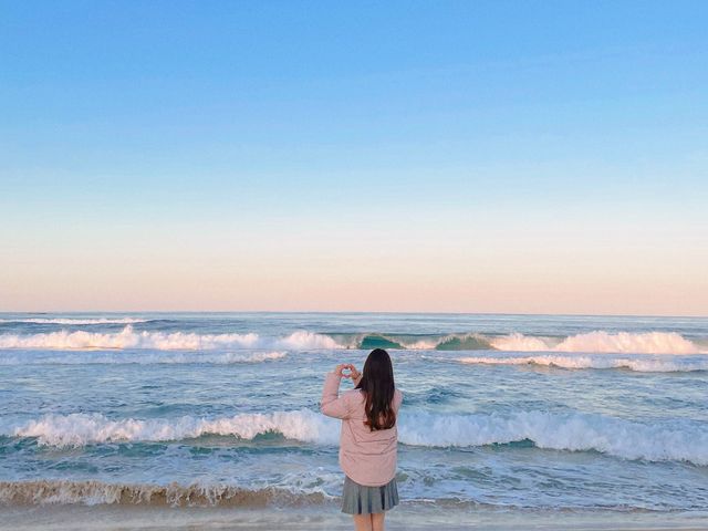 서피비치에서 인생사진 찰칵 🌊💙
