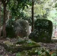 Megalithic Archaeological Landscape