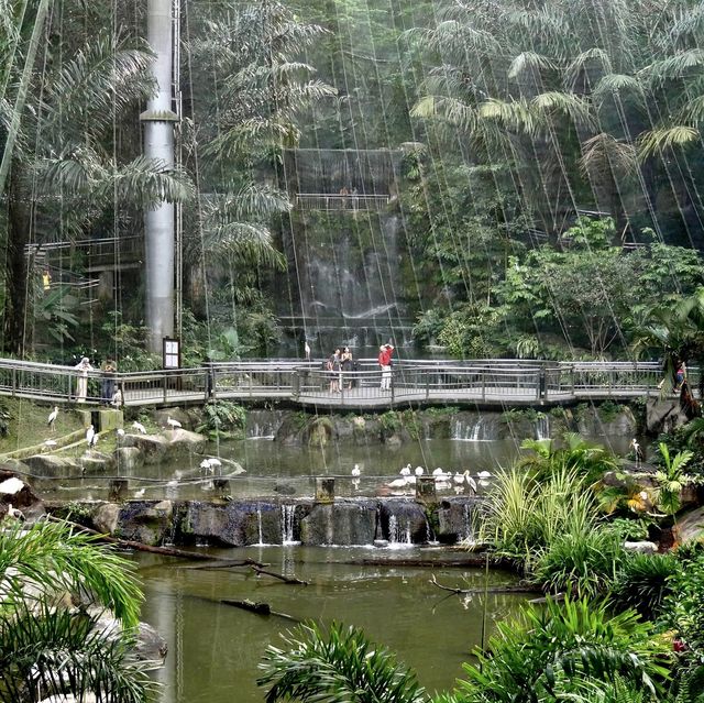 Great time at Kl Bird park 
