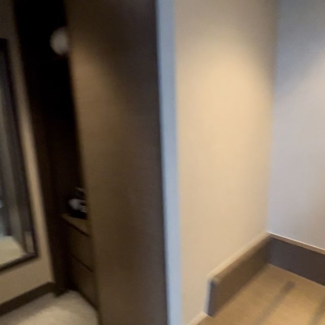 用半島三分一價錢睇相同景觀🤭