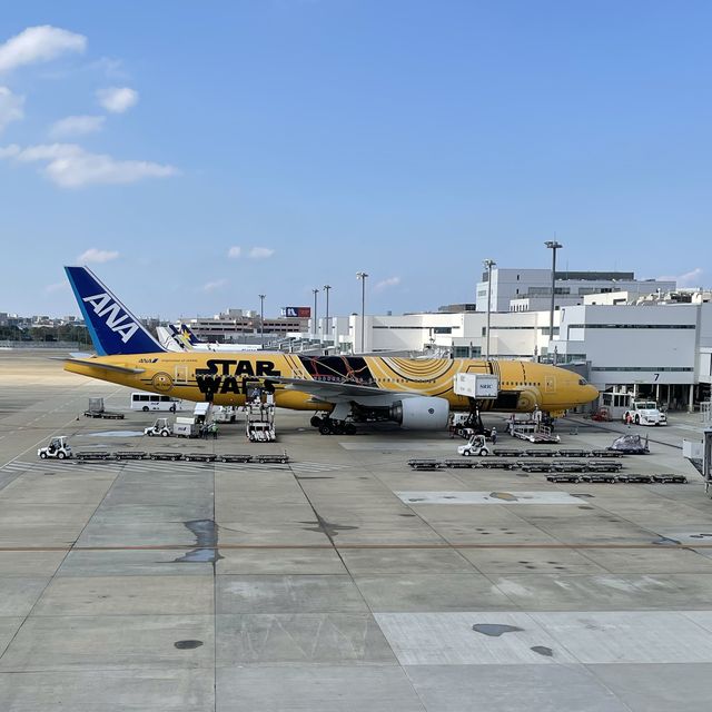 【福岡】秋の福岡の旅をお得に
