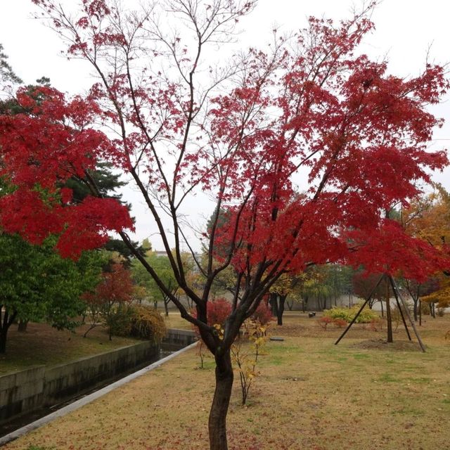 Gyeongbokgung Palace, Seoul