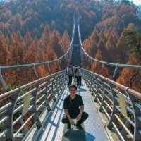 Hanging Bridge