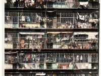 Visual Culture to see in M+ 