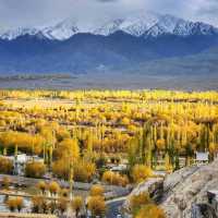Autumn in Ladakh 🌿🍁
ฤดูใบไม้เปลี่ยนสีที่เลห์ 🇮