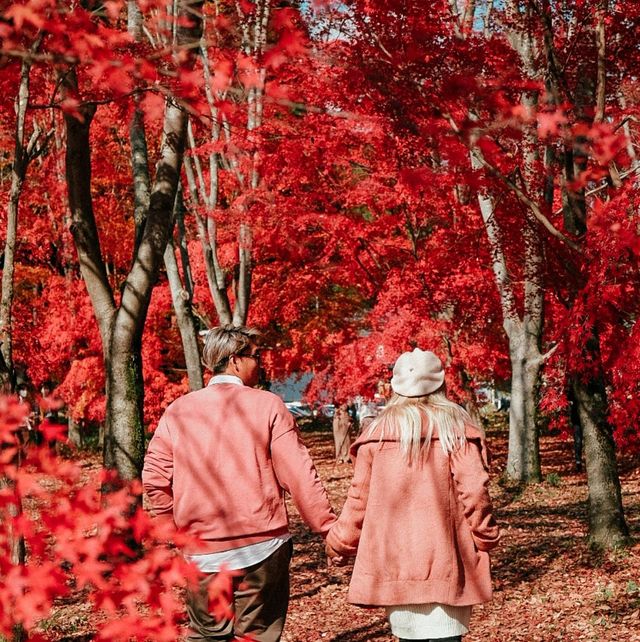 ญี่ปุ่น Autumnแล้วน๊าลากแฟนไปเร็วแก