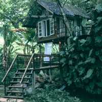 บ้านธารกล่อม นอนฟังเสียงน้ำไหลในอ้อมกอดธรรมชาติ 🌲