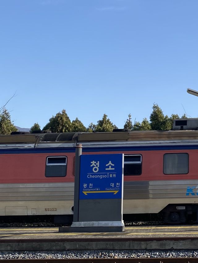 괜히 청소하고싶은 청소역 🧹