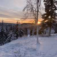 -50 Fahrenheit is very common here