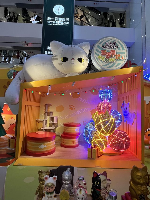 貓奴們必到皇室堡貓貓紙箱市集 貓奴們必到皇室堡貓貓紙箱市集
