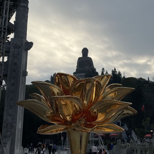 天壇大彿🪷