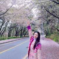 익산의 가볼만한곳!!