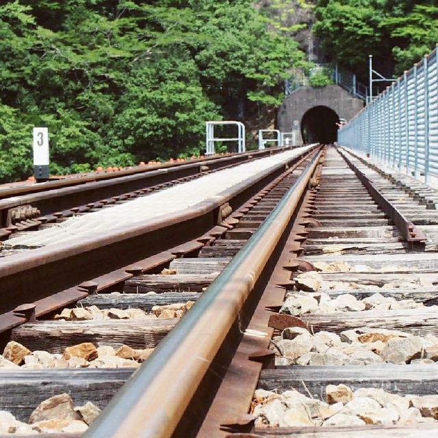 【川根本町】大井川鉄道