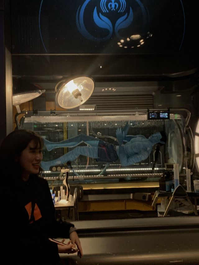 디즈니월드 크리스마스 in.애니멀킹덤
