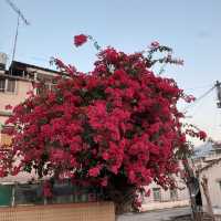 隱世壁畫村與芒草原
