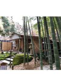 【神奈川・鎌倉】報国寺 竹林