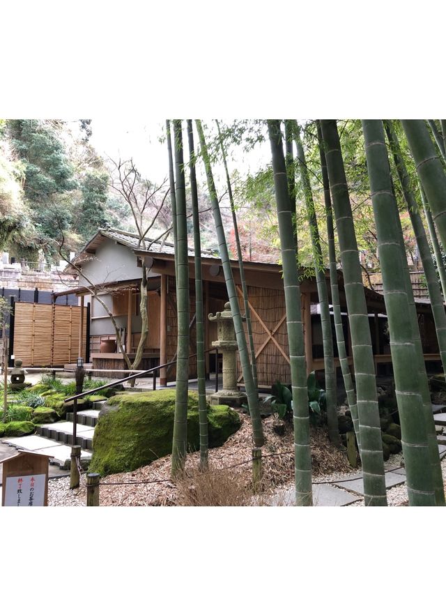 【神奈川・鎌倉】報国寺 竹林