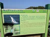 復活節好去處之坪洲小旅行