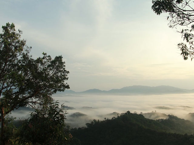 ผานับดาว ทะเลหมอกแห่งเมืองสุคิริน