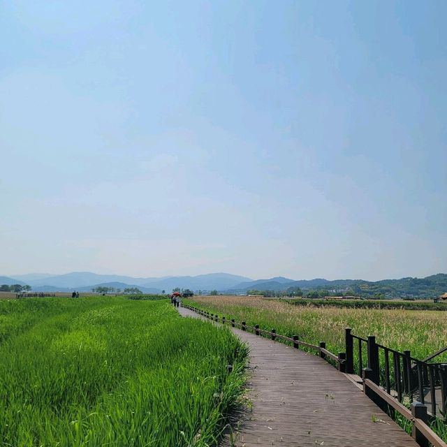 순천여행 순천만자연생태공원 