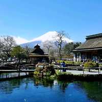 忍野八海
