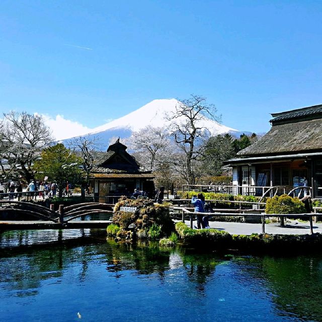 忍野八海