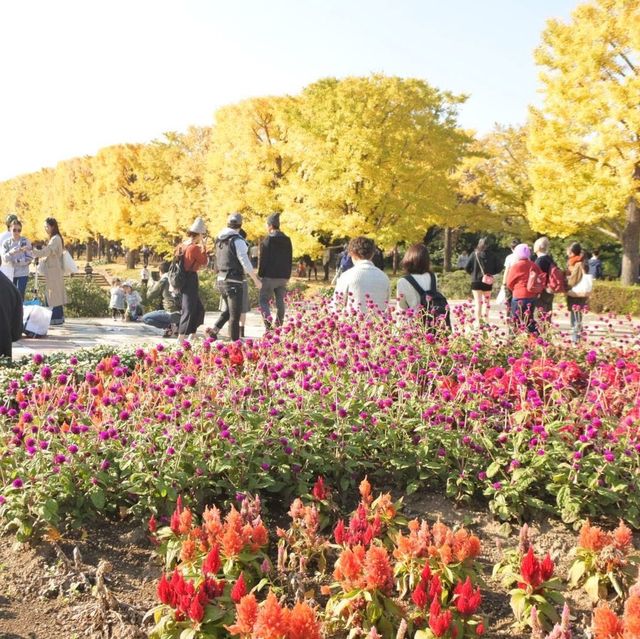国営昭和記念公園⛲️