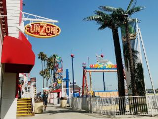 Take a boat trip to see seals and dolphins at Newport Beach ♥️
