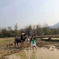 Visiting the Living land organic farm