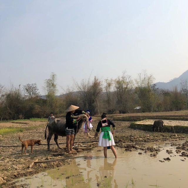 Visiting the Living land organic farm