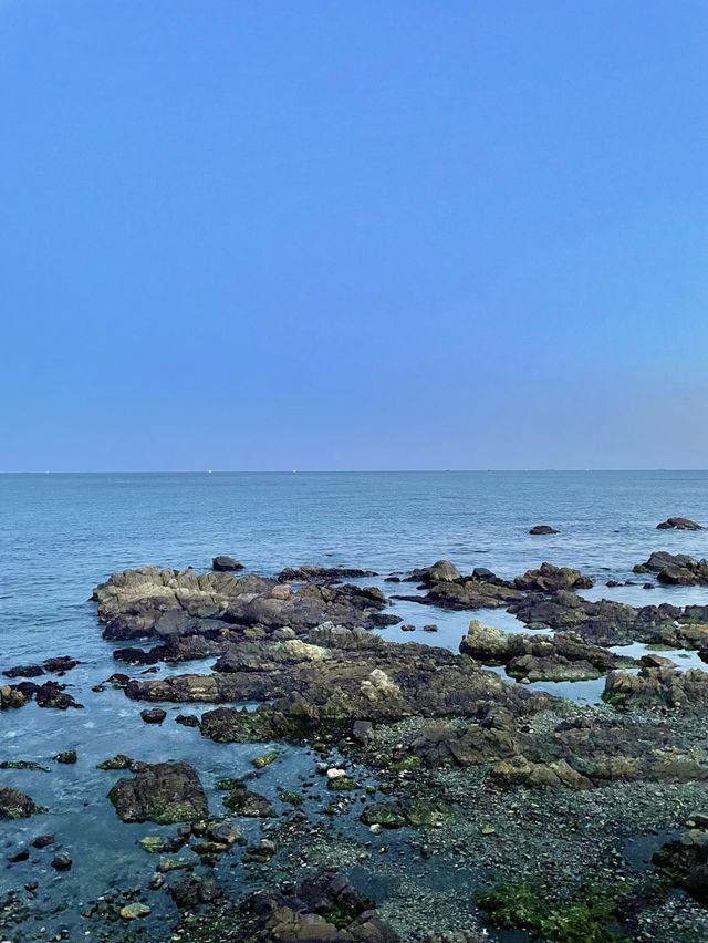 기장 오션뷰 카페 우즈 베이커리 🌊🥐