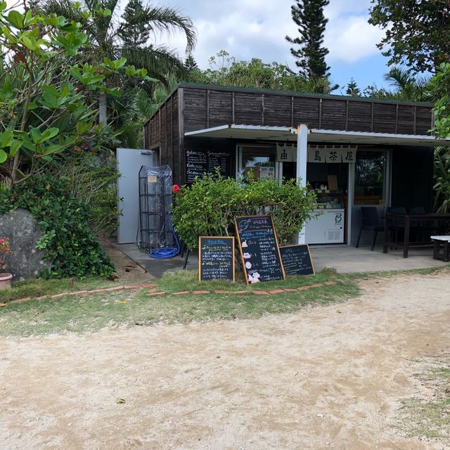 沖縄県石垣島 由布島水牛