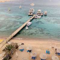 Diving Paradise on the Red Sea