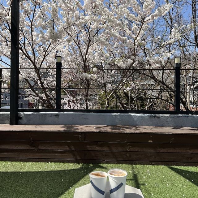 韓国/ソウル【景福宮】絶景♡ソウルの四季を感じられるビューカフェ🌳