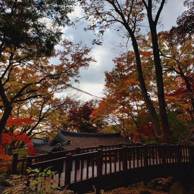 Autumn Foliage at Gilsang Temple