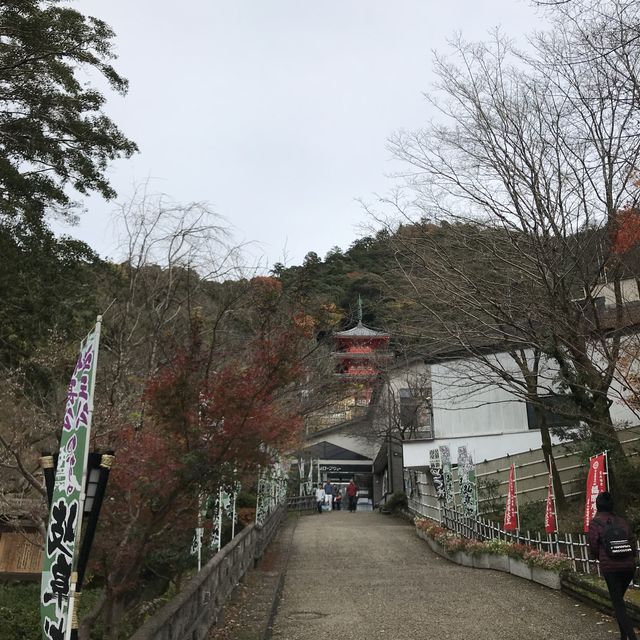 🇯🇵 參觀戰國名將的邸宅 — 岐阜公園及百曲登山道