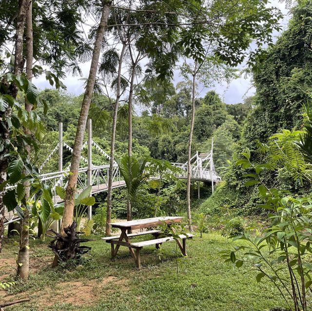 สุขสกาว สองสายรักษ์.. 🌱🌳 ดินแดนแห่งความสุข