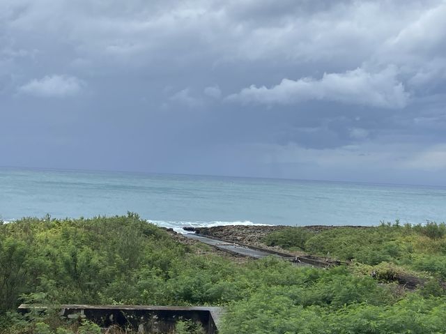 要看小白鯨和企鵝，就來海生館